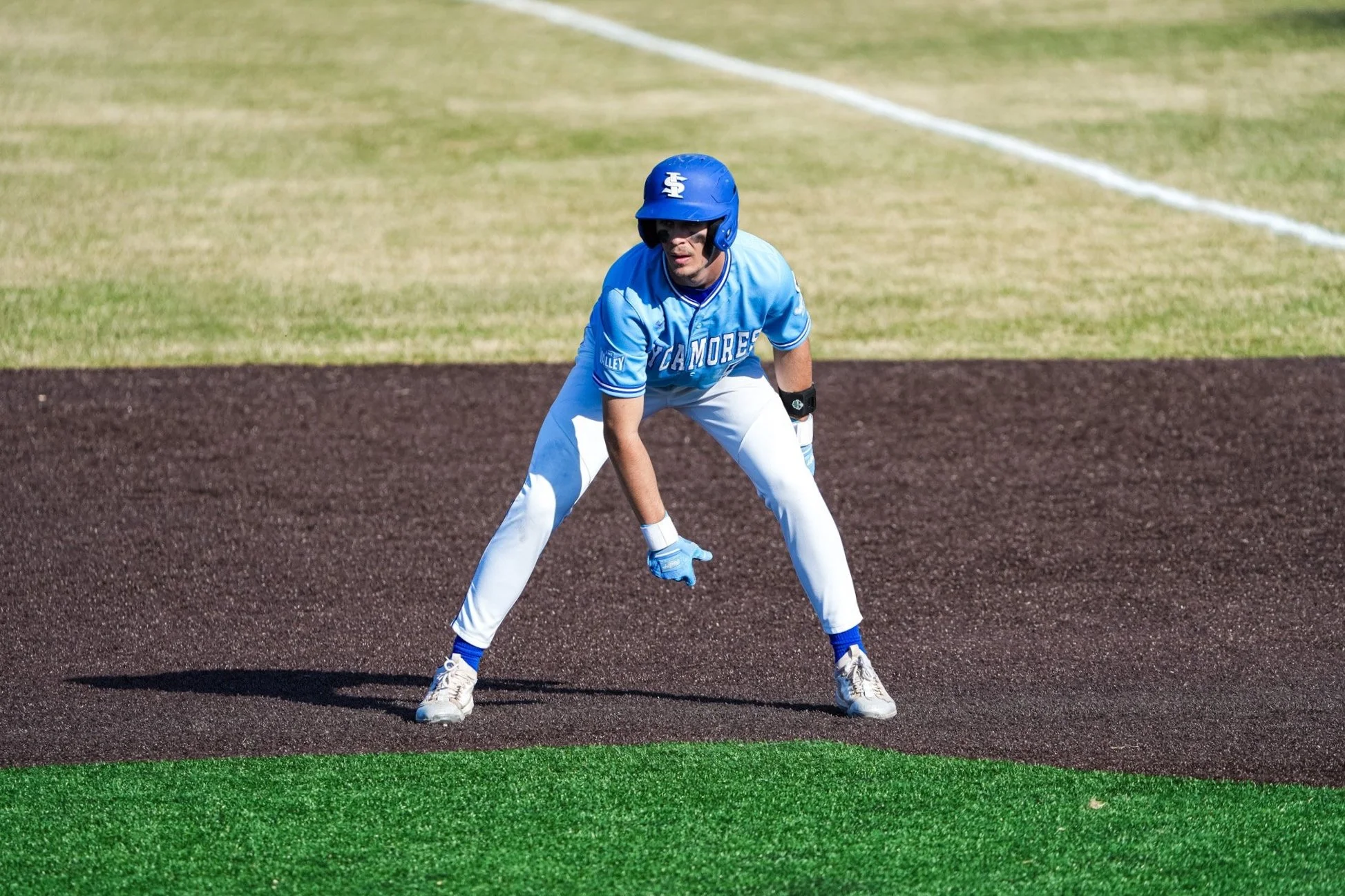 Sycamores+1-2703.jpg