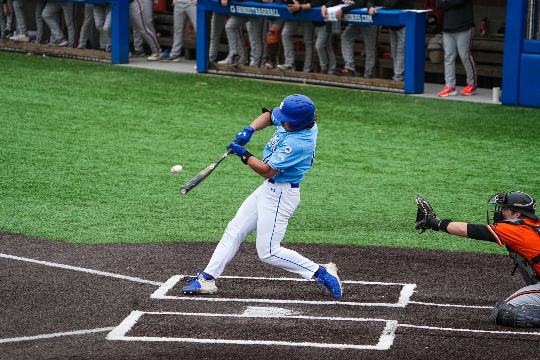 Sycamores 1-2802.jpg