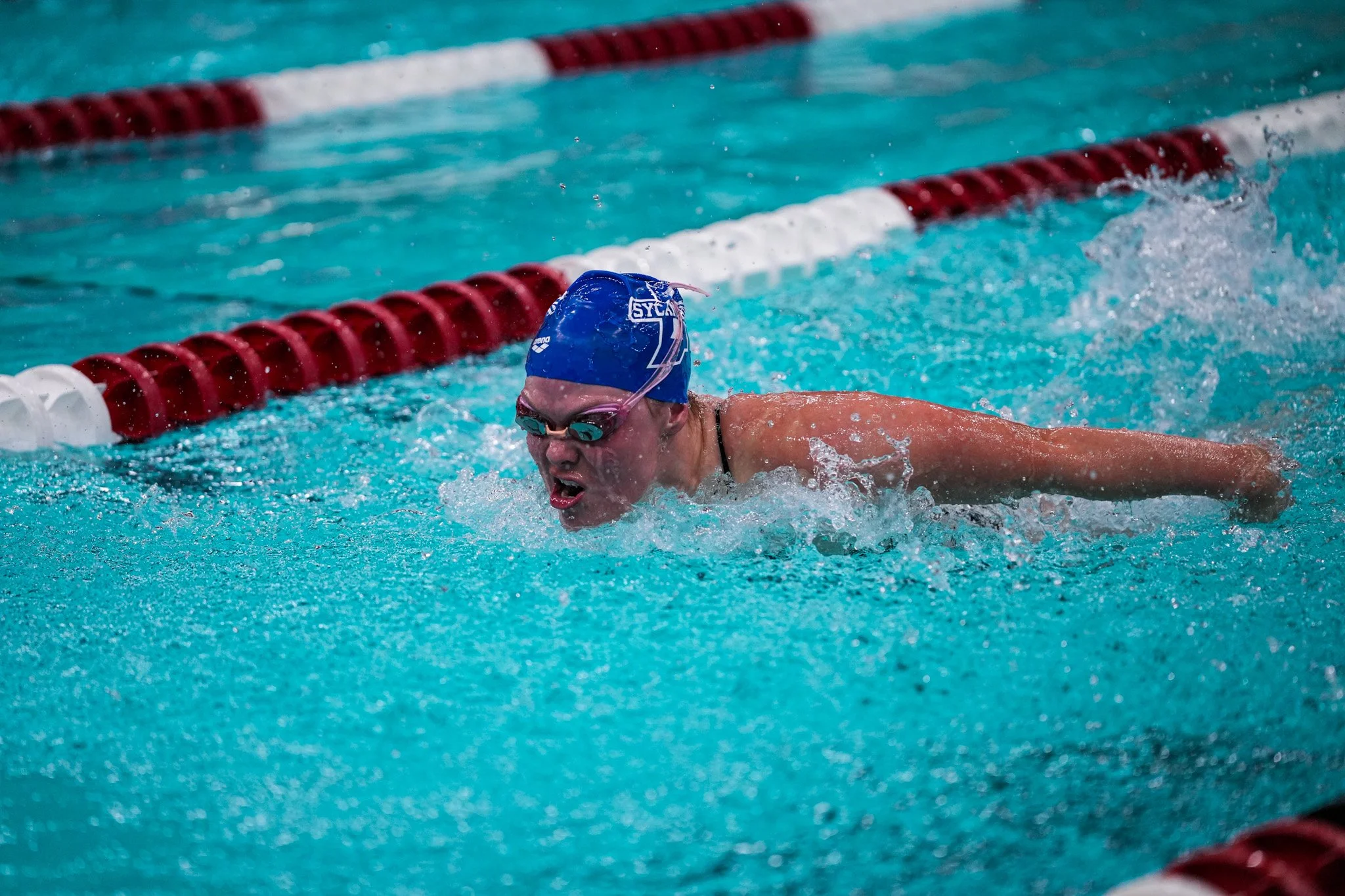 Swim&Dive-44.jpg