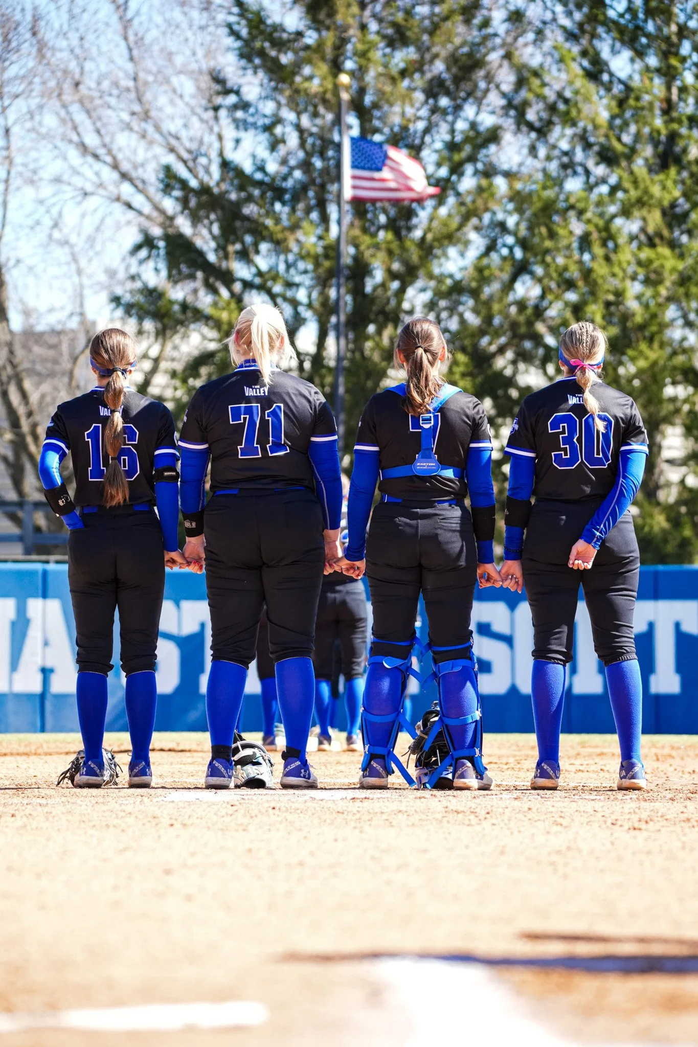 Sycamores 1-3156.jpg