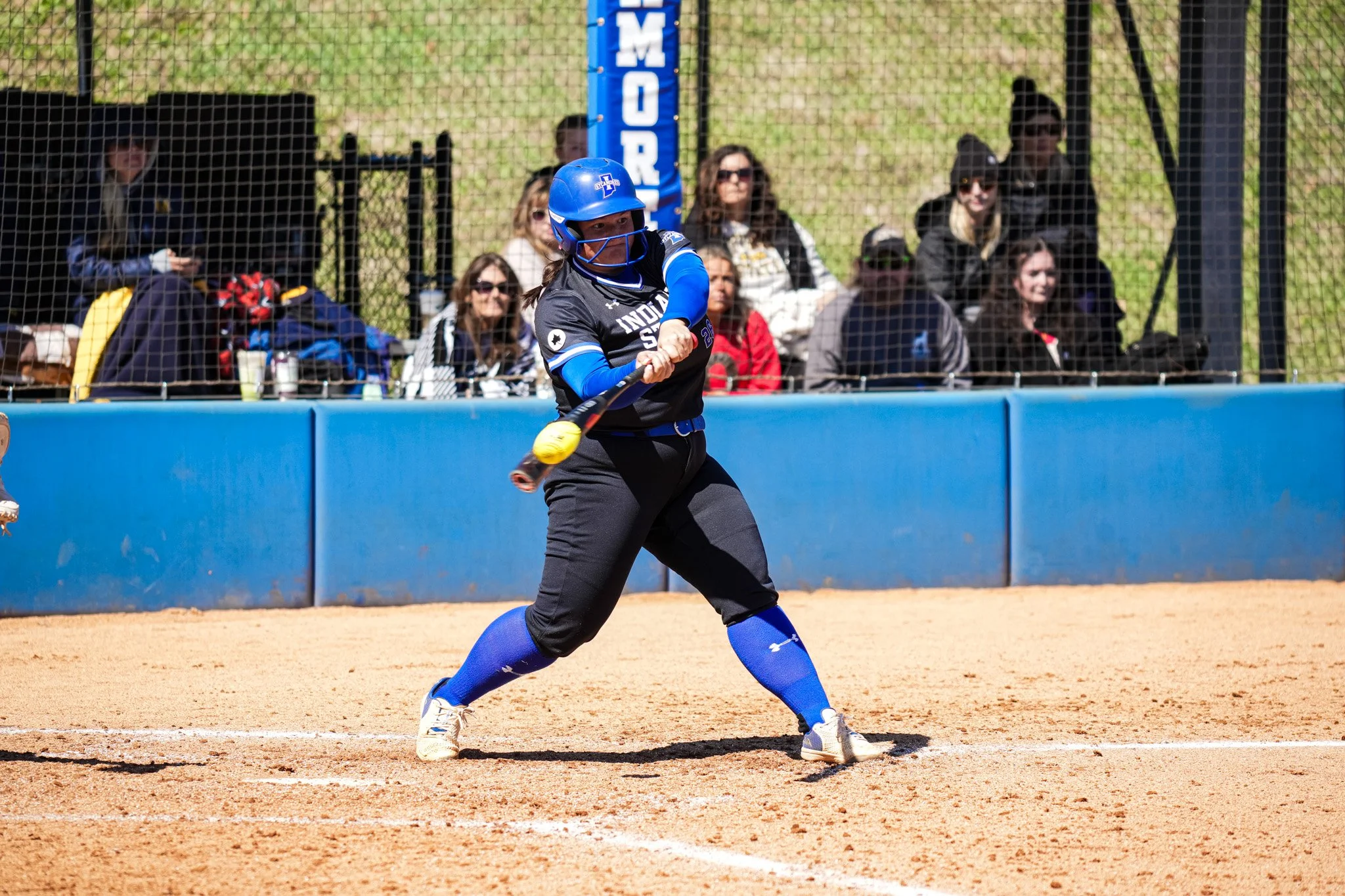 Sycamores 1-3020.jpg