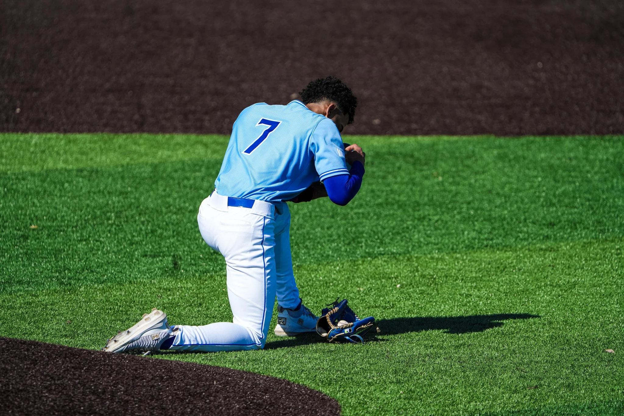 Sycamores 1-2746.jpg