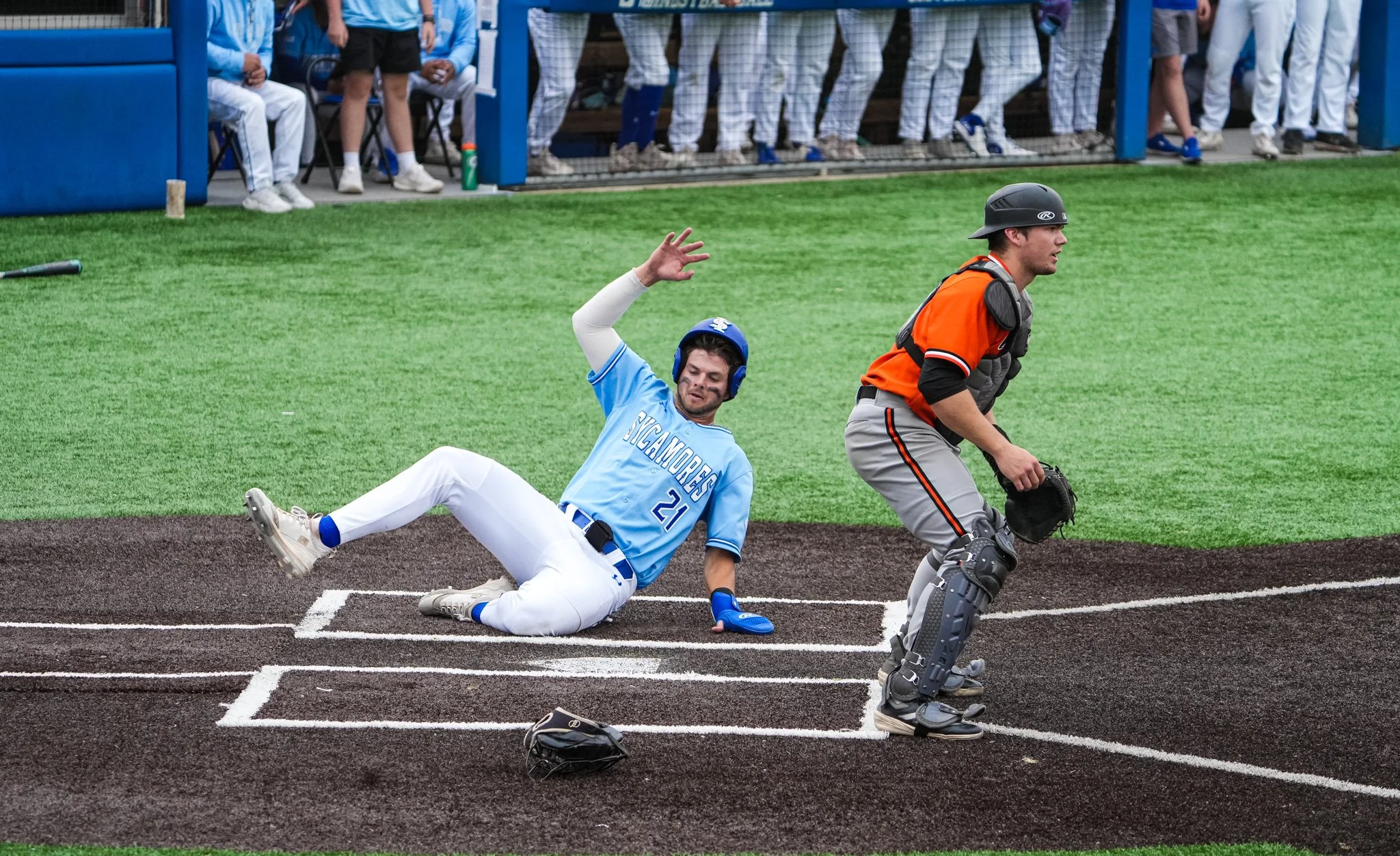 Sycamores 1-2810.jpg