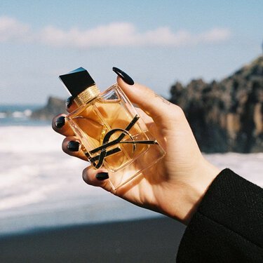 WW-50424YSL-visual_alt_4.jpg