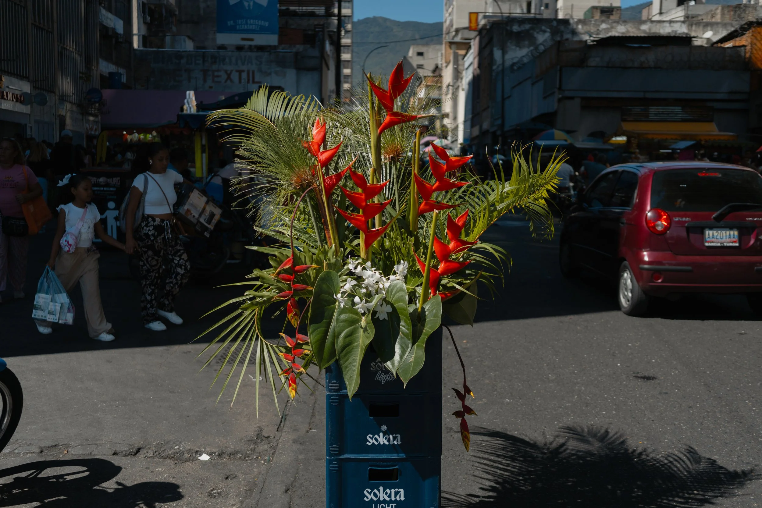 FlaviaFlauer_AndreaHernandezBriceno-25.jpg