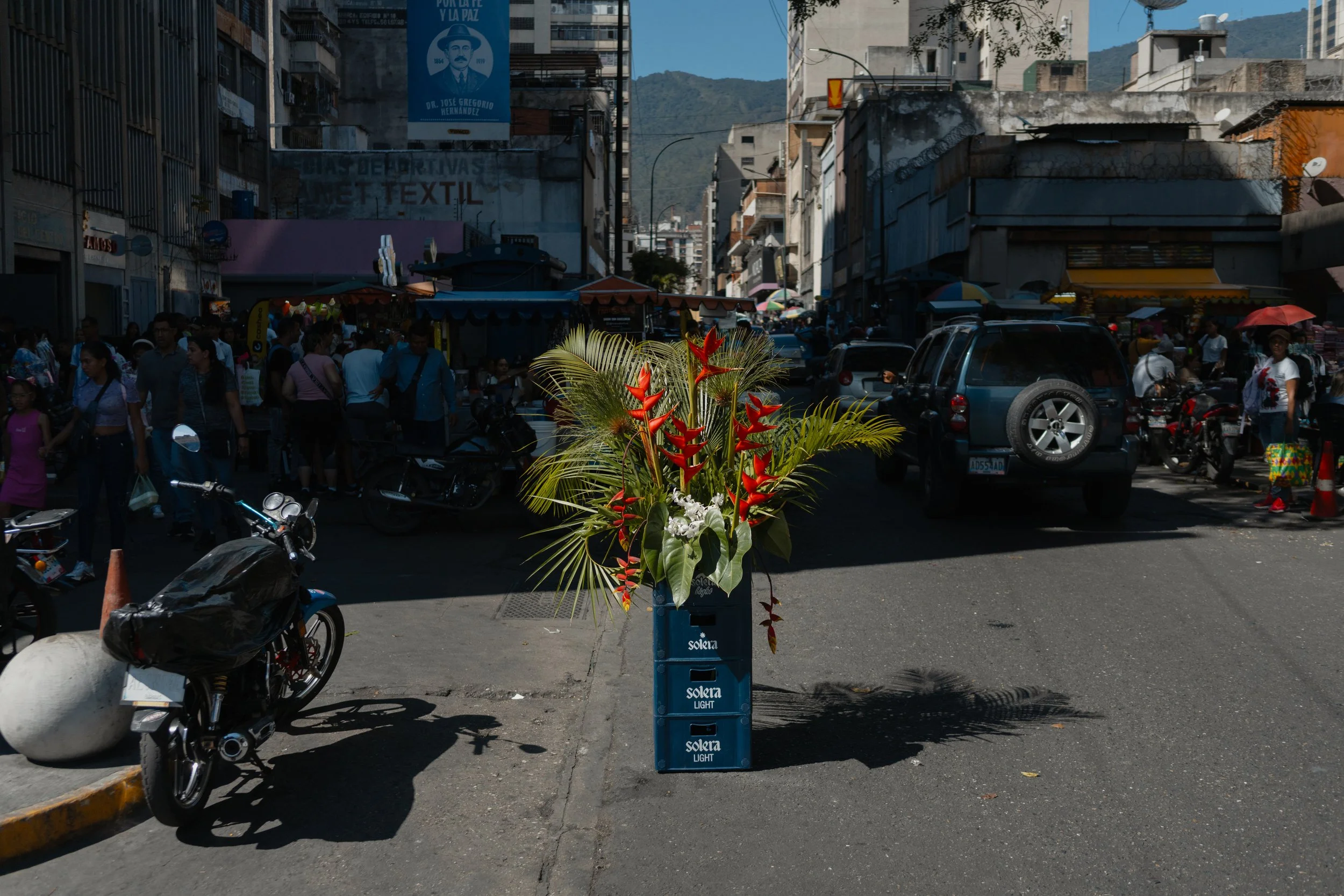 FlaviaFlauer_AndreaHernandezBriceno-45.jpg