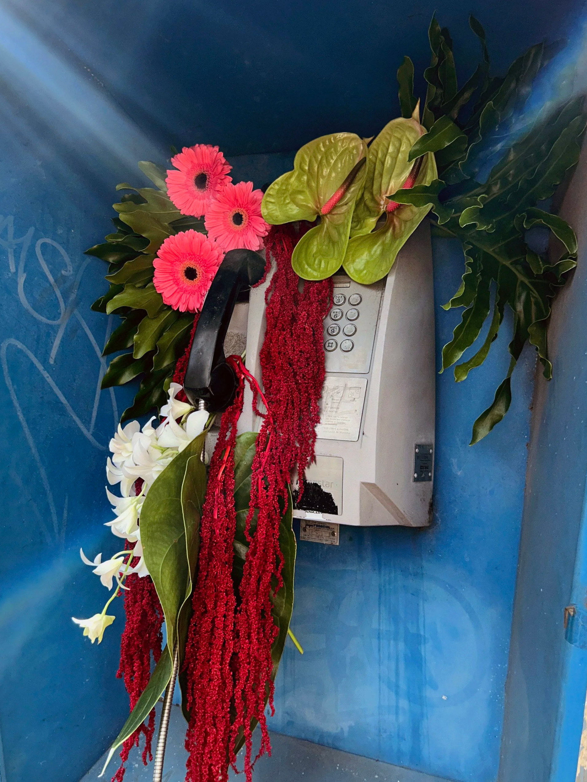 Intervención urbana floral