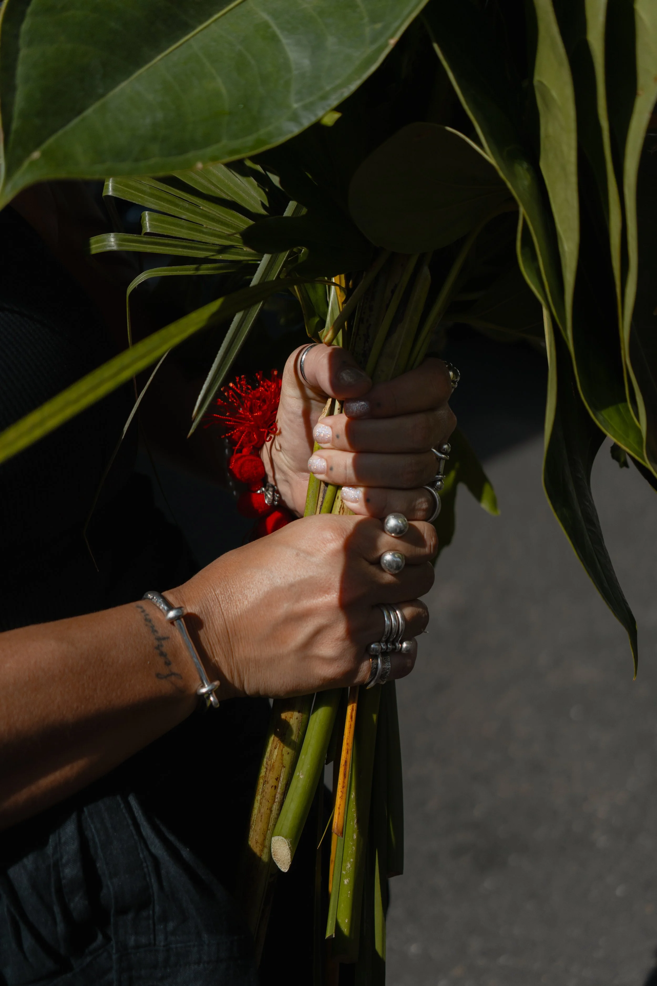 FlaviaFlauer_AndreaHernandezBriceno-56.jpg