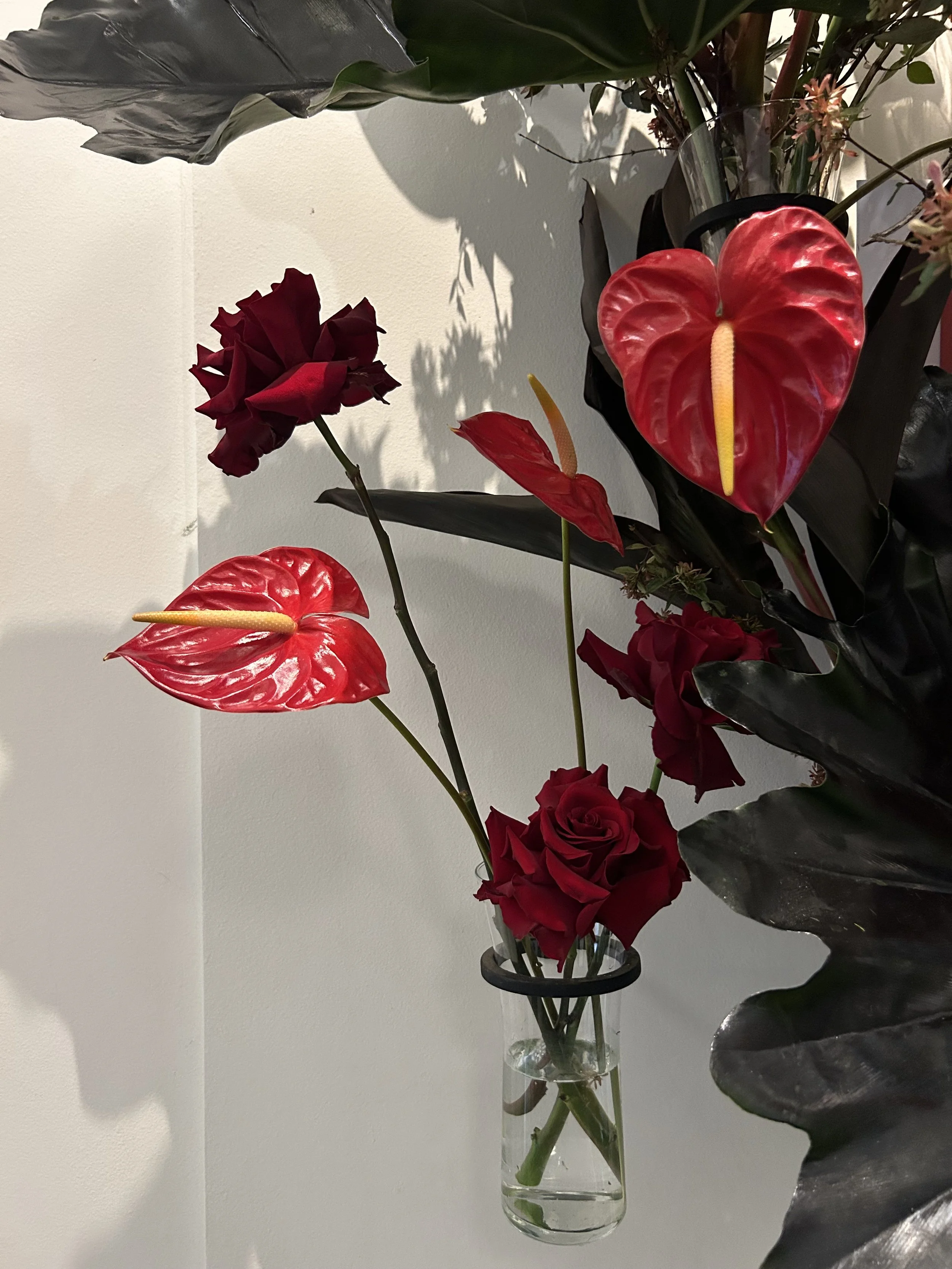 IMG_6100.jpeg