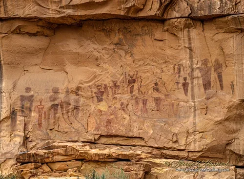 Sego Pictographs - Near Arches National Park, Utah / ID No. SC-UT-0672