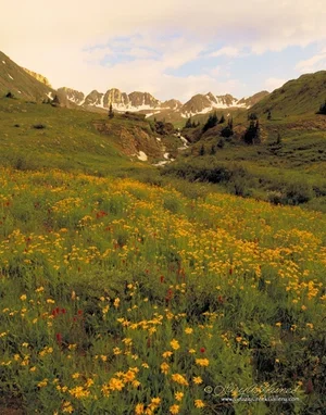 Sunrise at Paradise Basin - Southwest CO / ID No. 173008