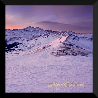 Dawn's Lavender Light