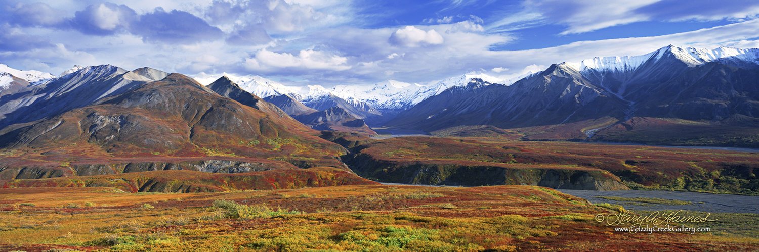 Alaska Marcella Polychrome Pass - Denali National Park, AK