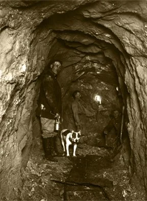 Two men and a dog inside a dark, rocky tunnel or cave.