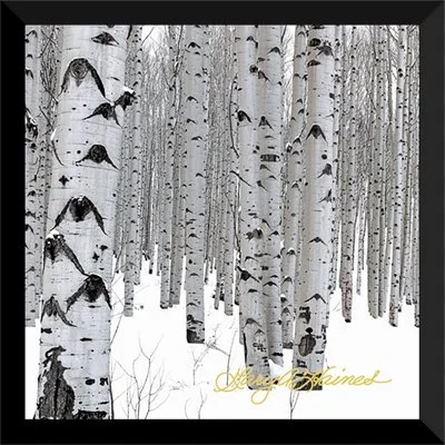 Eyes of the Forest Winter