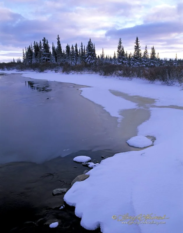 Winter Solitude #2 - Churchill, Manitoba, Canada