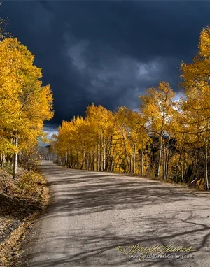 Country Roads #4 - Summit County, CO / ID No. CO-BP-0145-4