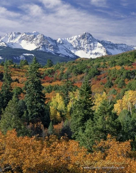 Autumn Splendor #2 - San Juan Mountains, CO