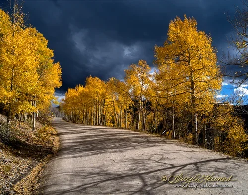 Country Roads #3 - Summit County, CO / ID No. CO-BP-0145
