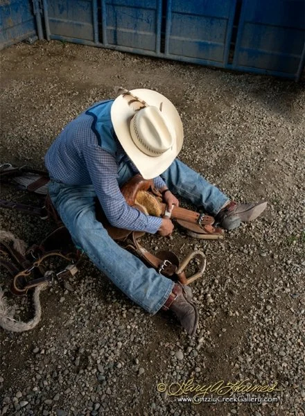Saddle Up - Steamboat Springs, CO