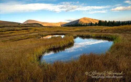 Sunrise on Otter Mountain - Guanella Pass, CO / ID No. 003915