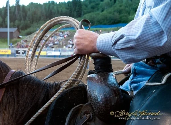 Ready to Rope - Steamboat Springs, CO