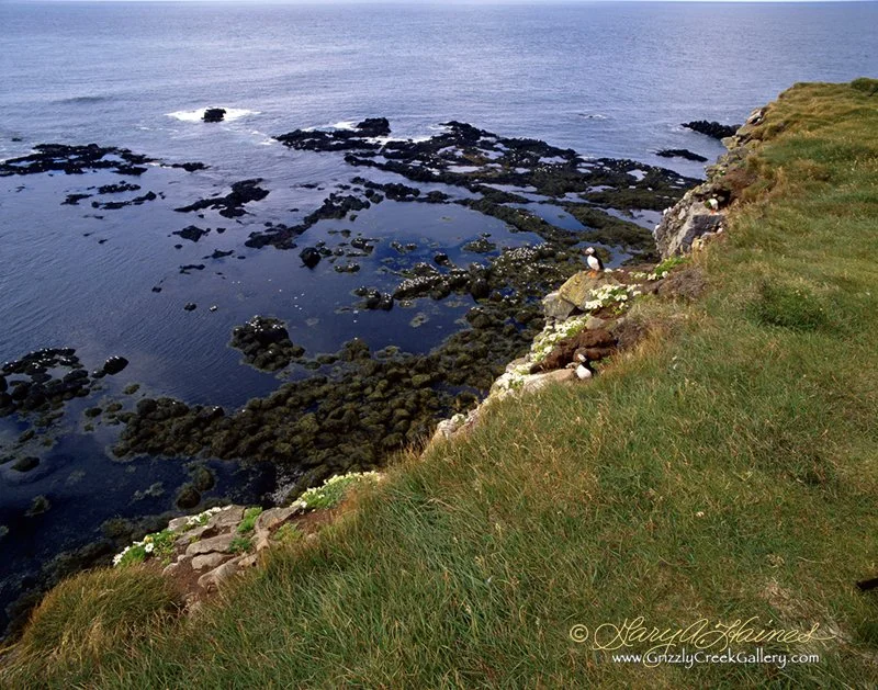 Seabreeze - Western Iceland