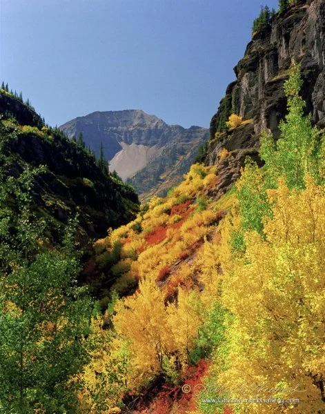 San Juan Brilliance - San Juan Mountains, CO