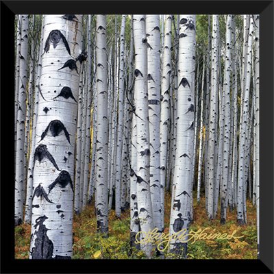 Eyes of the Forest Autumn