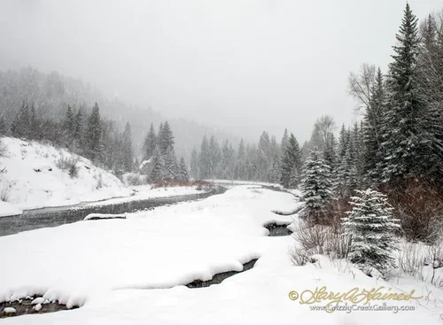 Winter on the Crystal River - White River National Forest, CO / ID No. CO-RS-3034