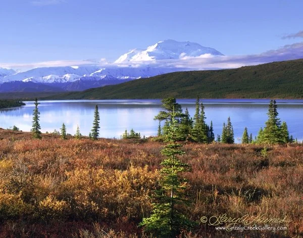 Baked Alaska #2 - Denali National Park, AK