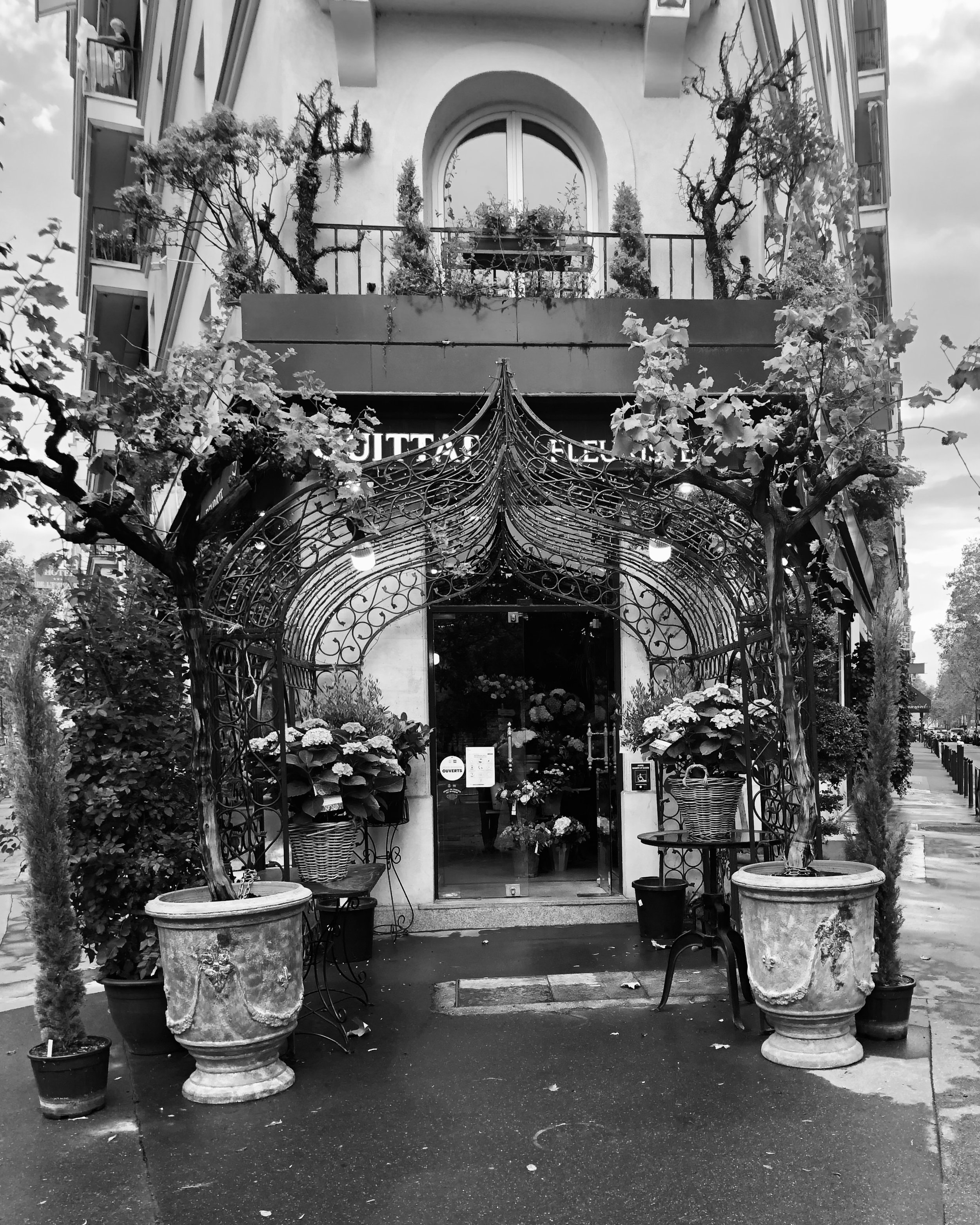 Notes from the Graden