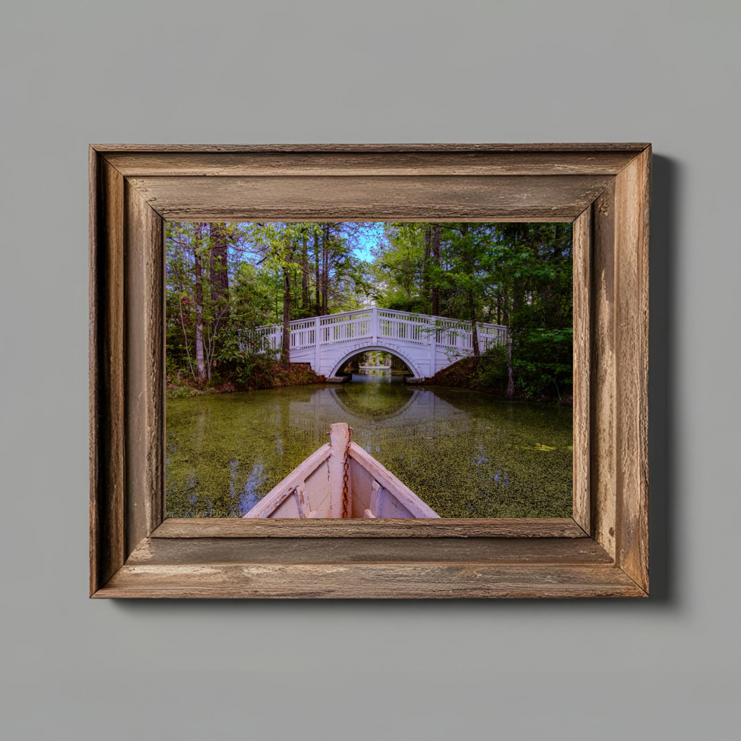 Cypress Gardens