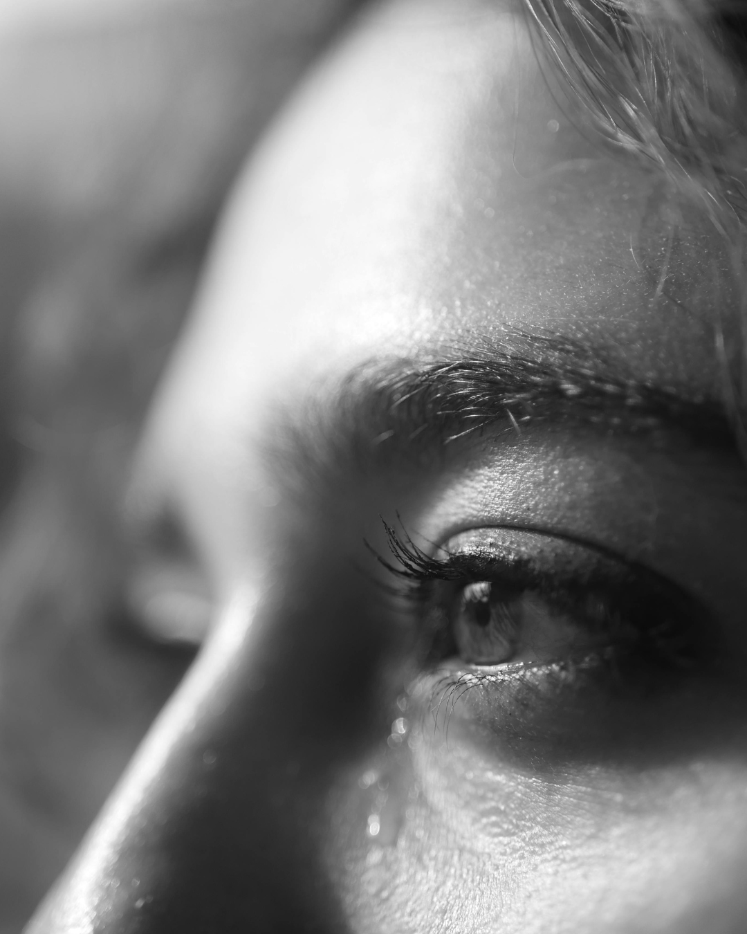 "Lies Can't Hide the Truth"