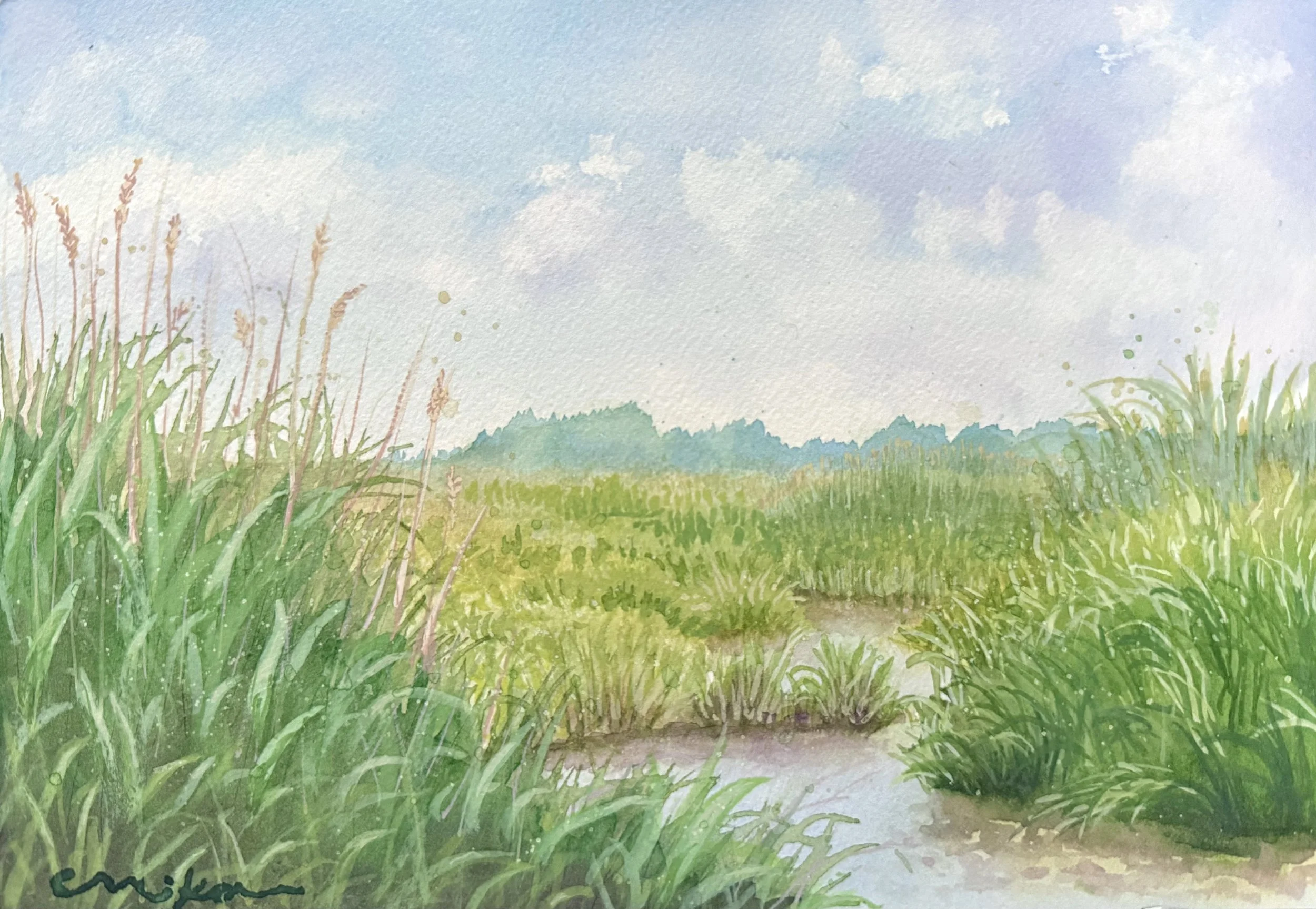 View from Bayside Road