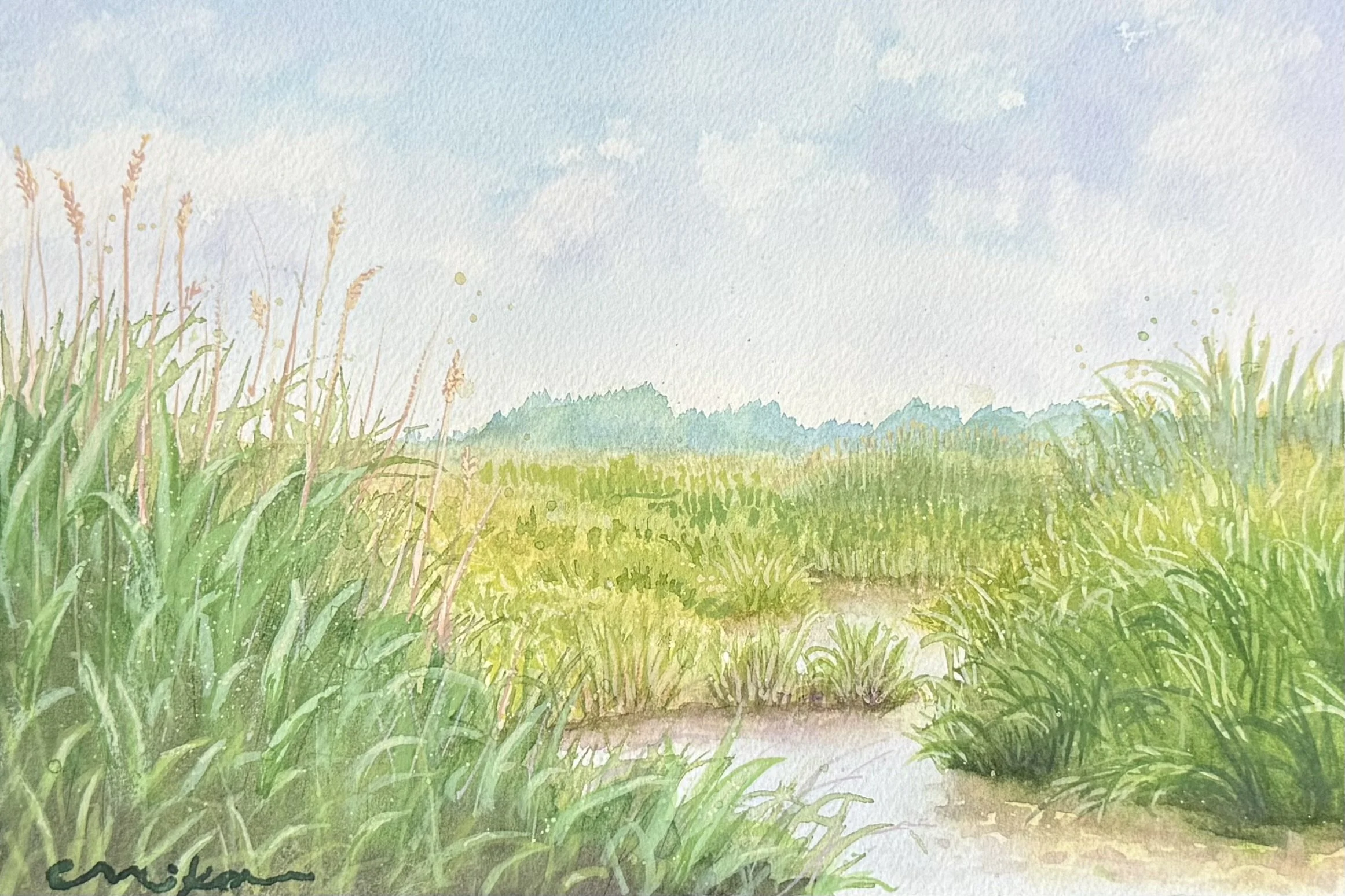 View from Bayside Road, Gouache, 7”x10” | Awarded Honorable Mention, “Cumberland County on Canvas” show at Riverfront Renaissance Center, Millville NJ | July 2025