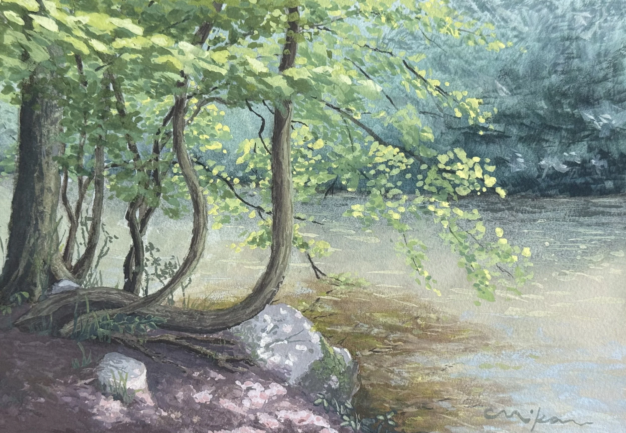 Trees of Wissahickon,
Watercolor and Gouache, 7”x10” | April 2025
-Sold-