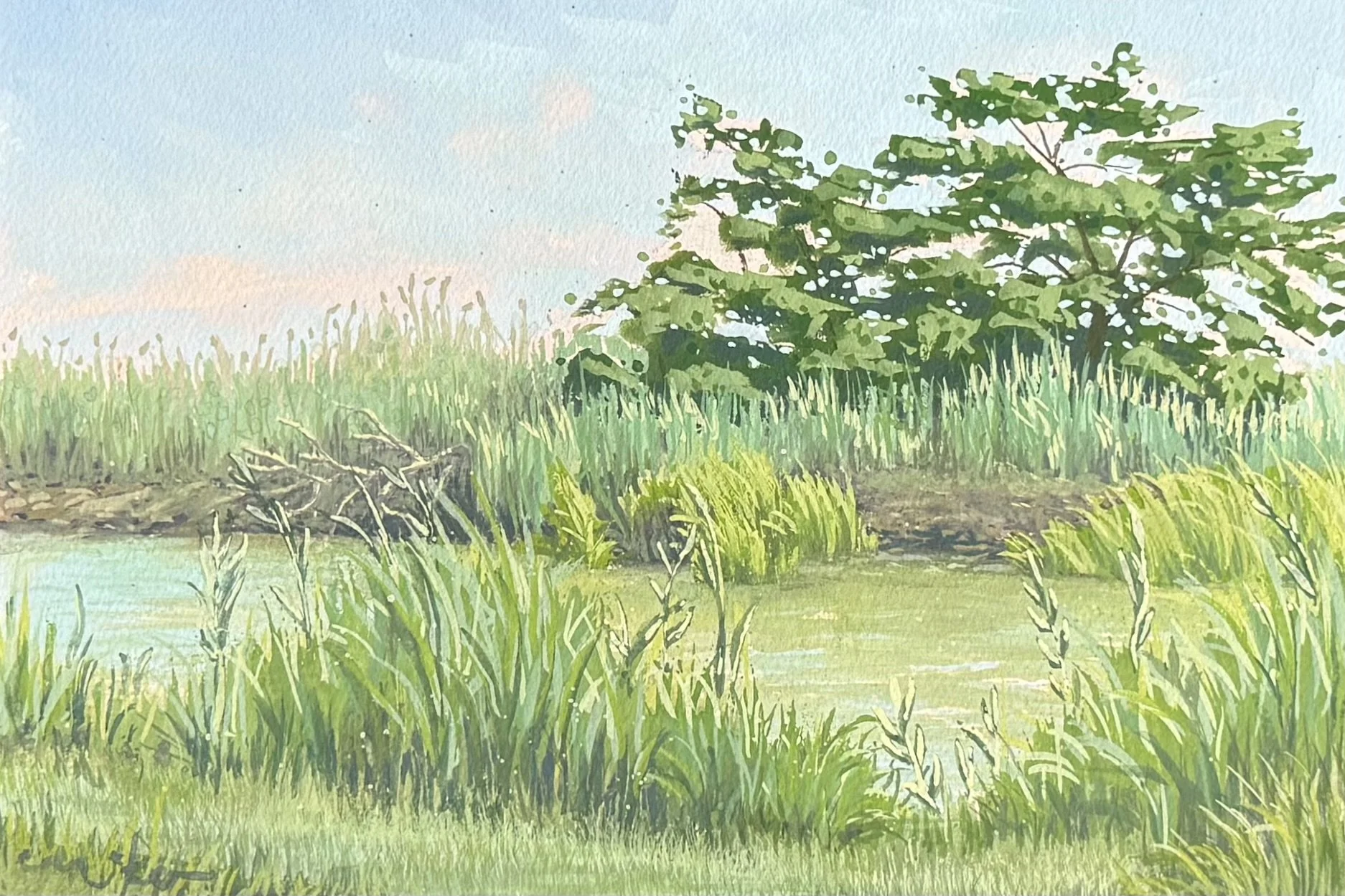 Tindall Island, 7”x10”, Gouache | July 2025