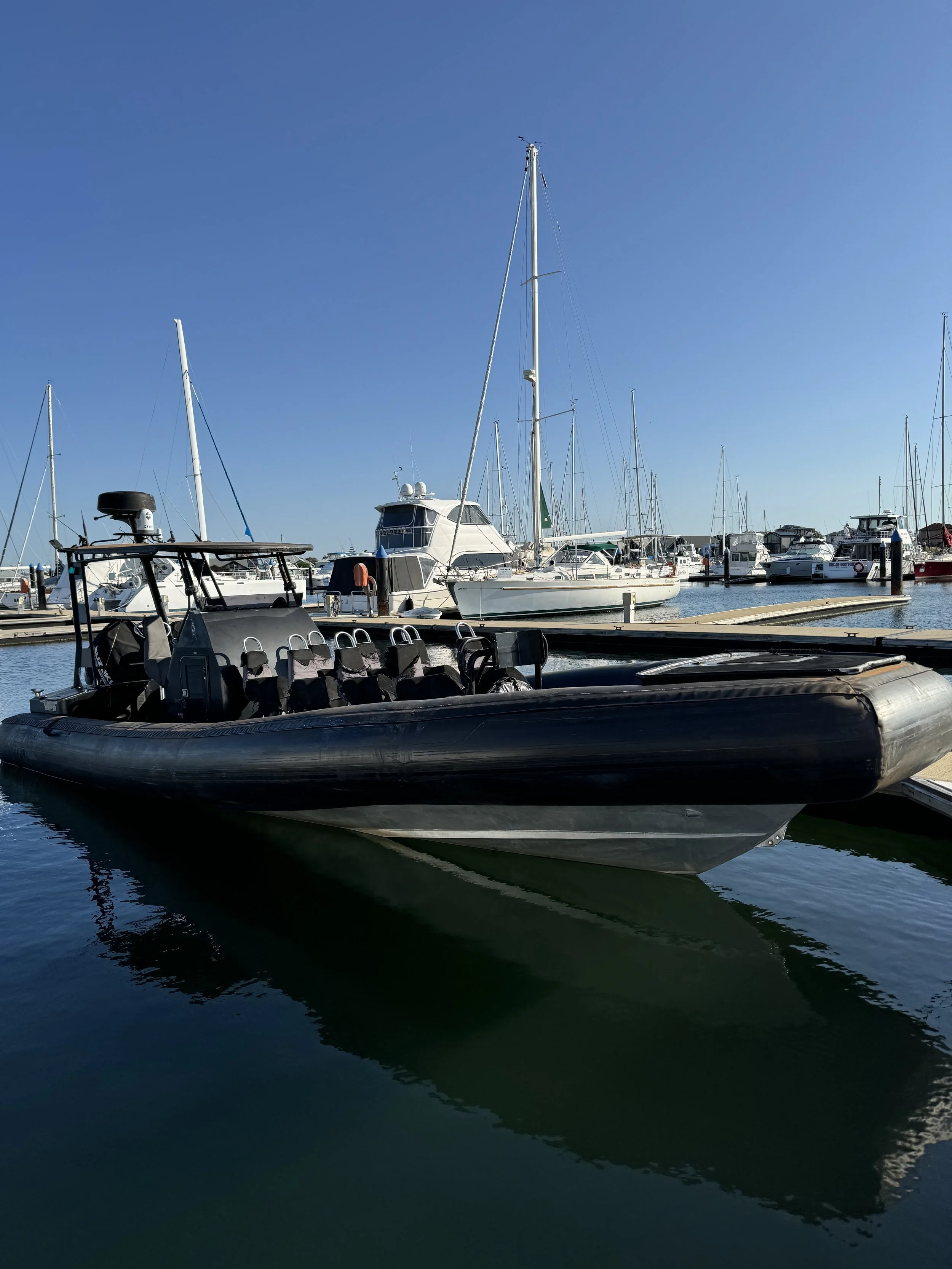 A dark-colored inflatable boat docked at a marina with sailboats and yachts in the background under a clear blue sky.