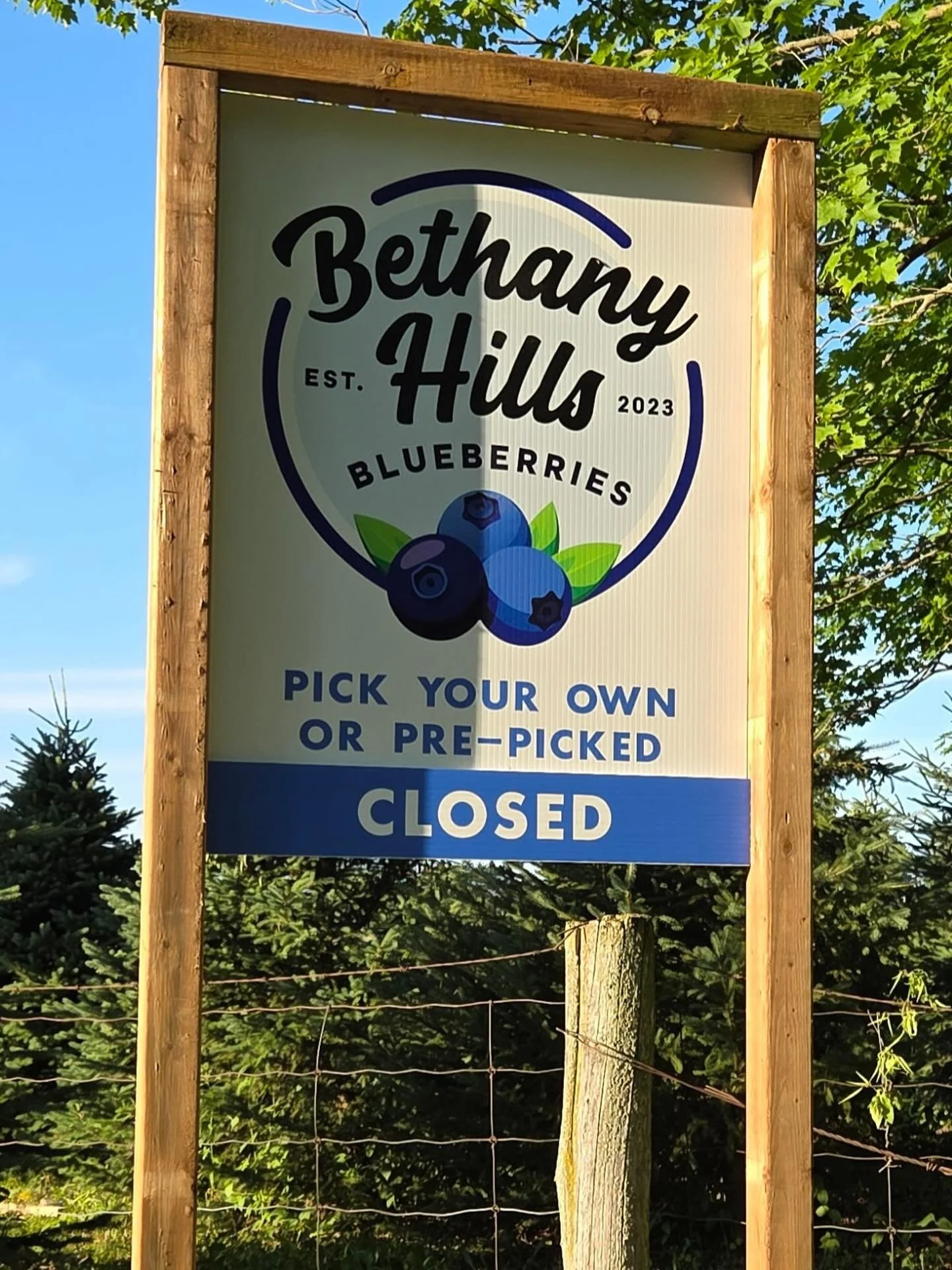 Bethany Hills Blueberries is now closed for the season, we are Sold Out ! 

Thank you to everyone who came out to pick and placed orders, it was nice to see everyone. 

Hope to see you next year !