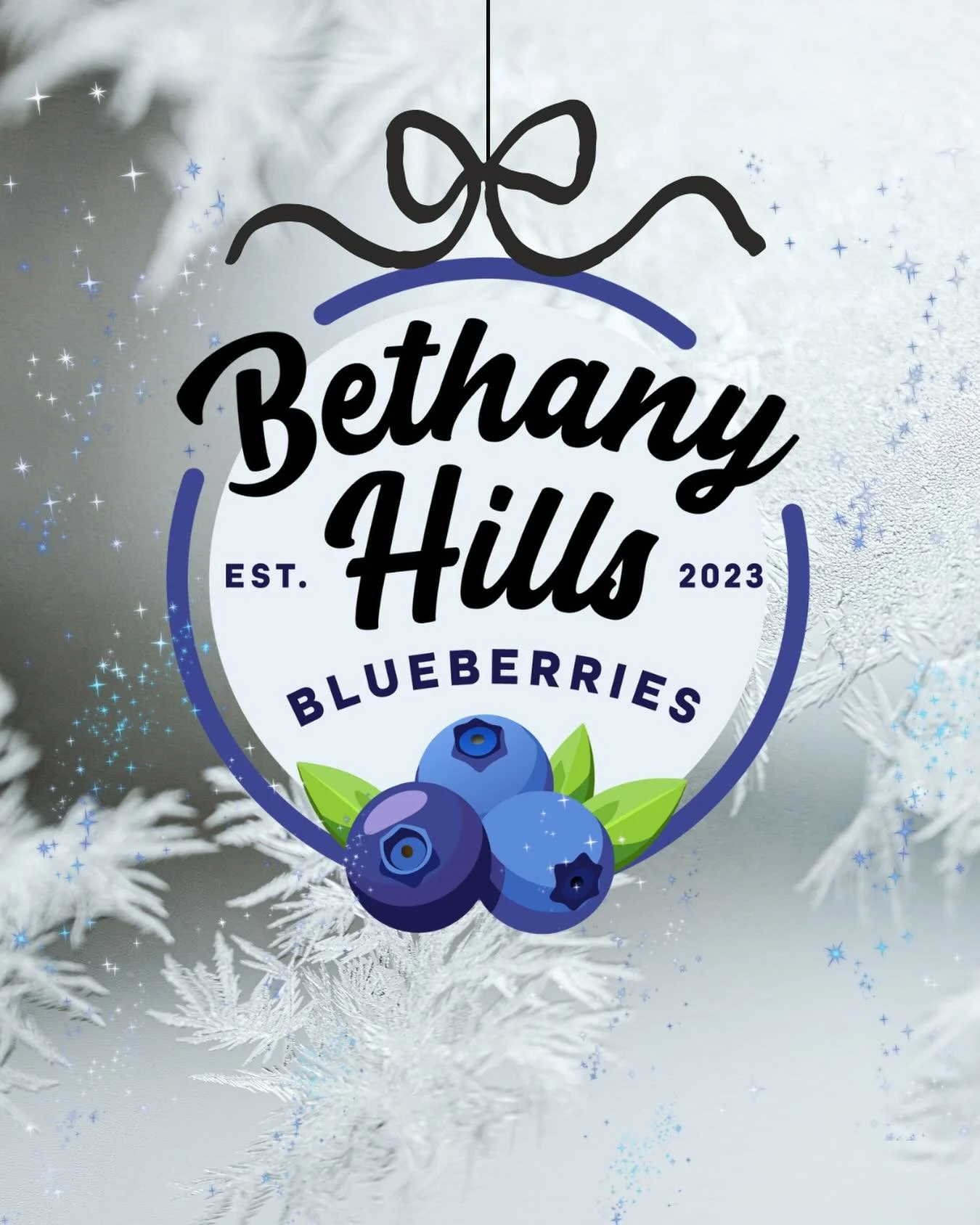 Merry Christmas and Happy New year!🎄 Thank you for making our first year a successful one! We can&rsquo;t wait to see everyone in the 2026 Blueberry season! 🫐
