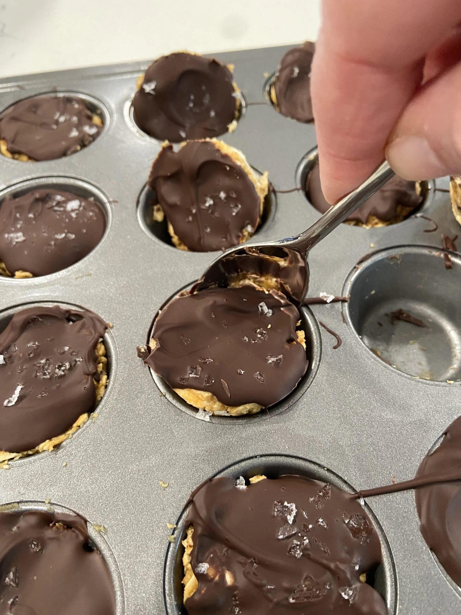 Healthy No-Bake Chocolate Peanut Butter Bites
