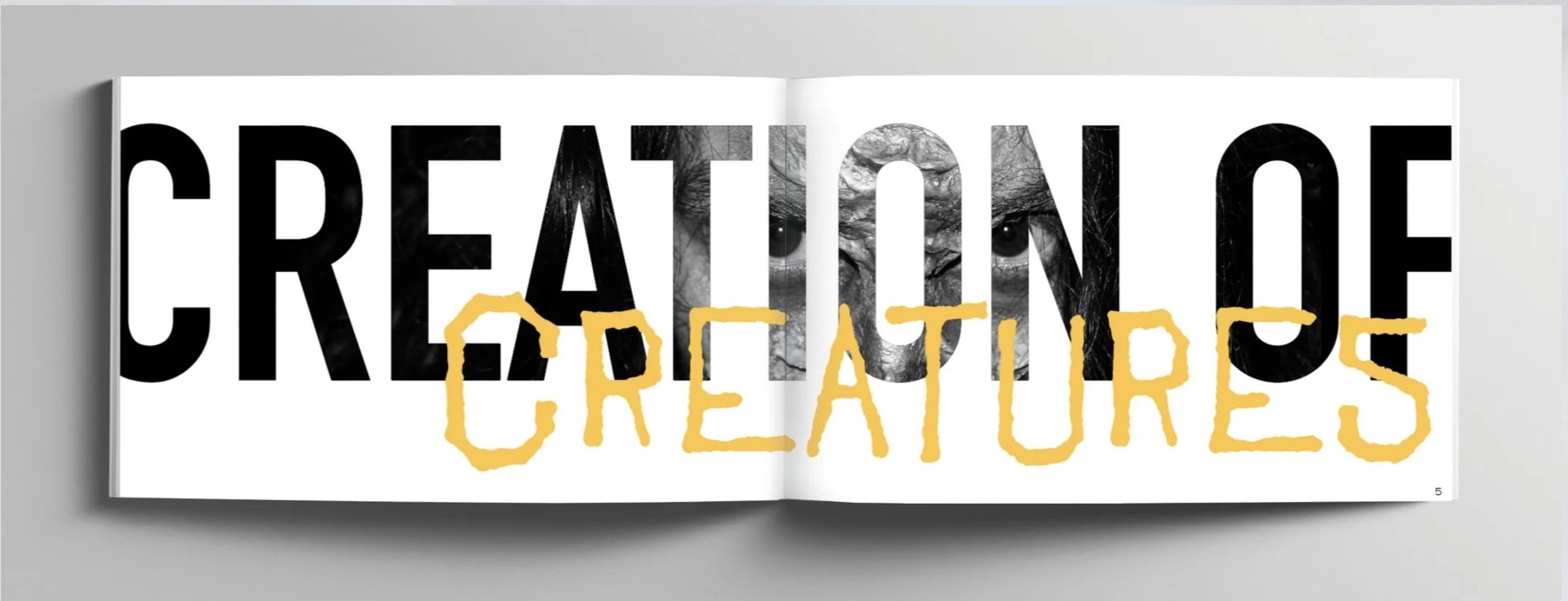 Image 11-11-25 at 7.55 PM.jpeg