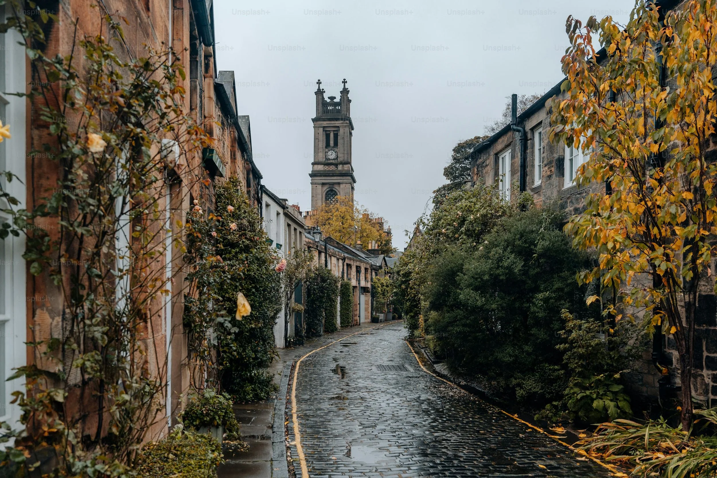 Removed Watermark - Circus Lane.jpg