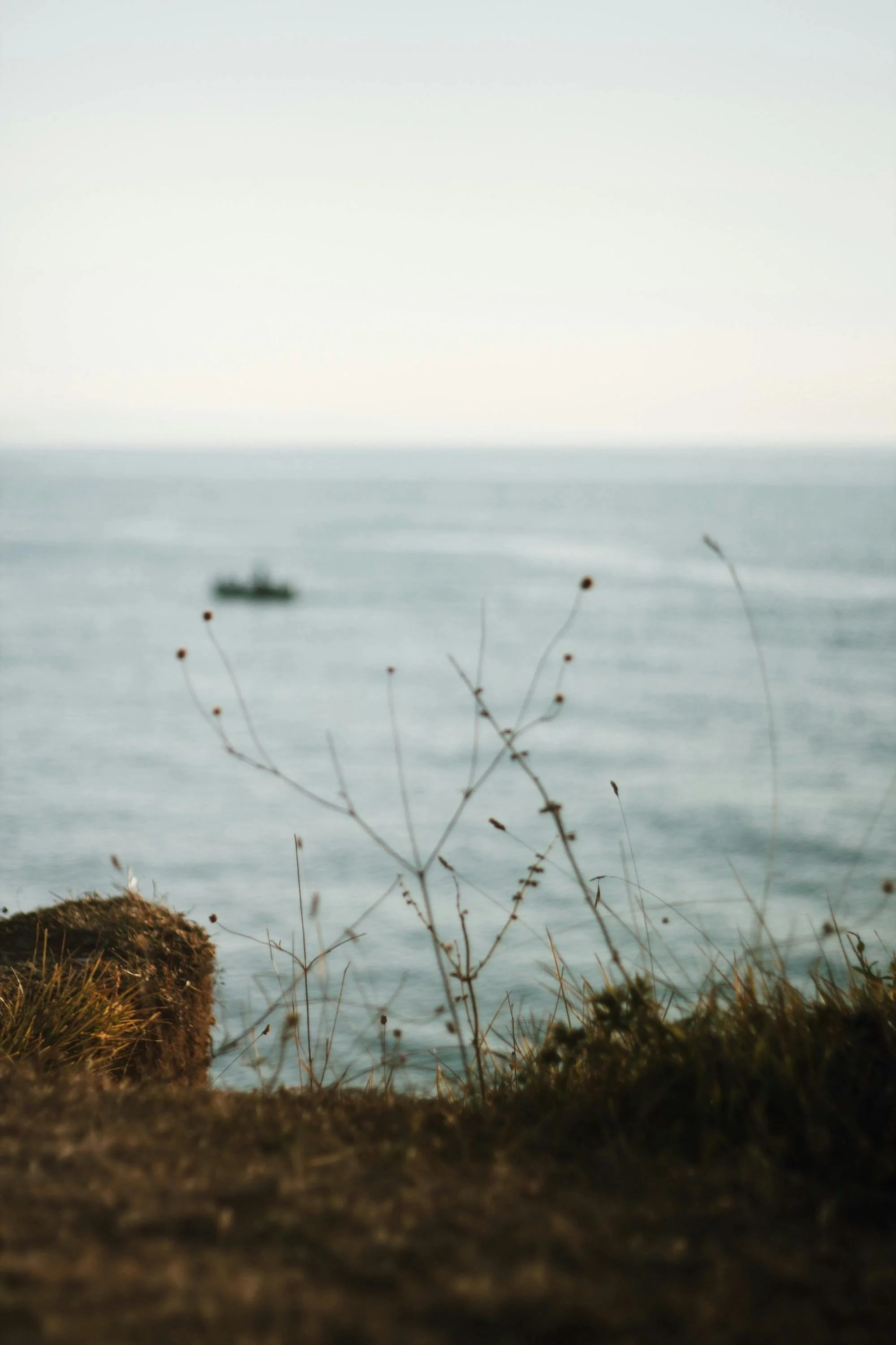 Seaside scene with a boat on the water, seen through sparse branches and plants in the foreground, under a light sky.