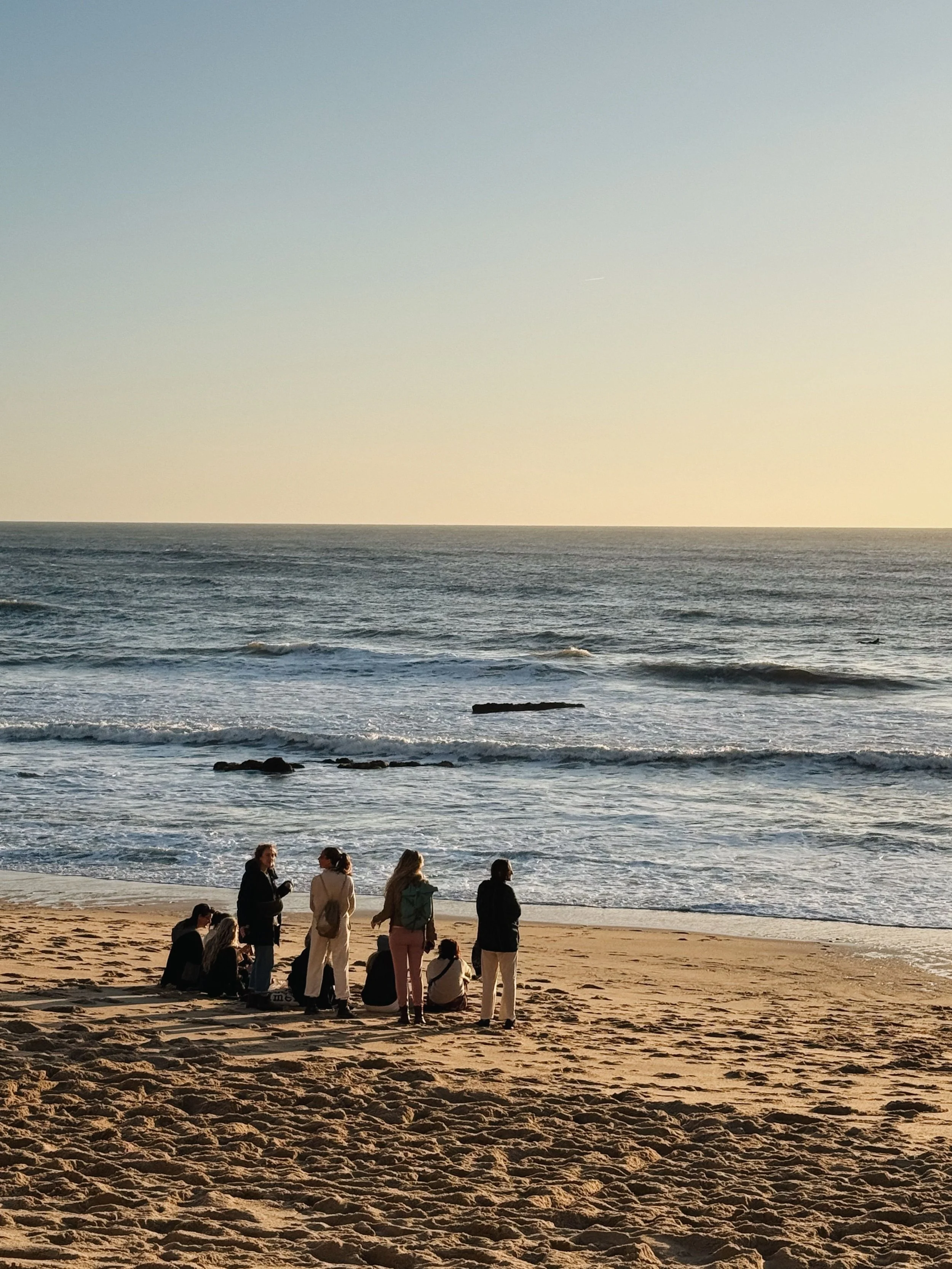 Calm therapy group on the beach