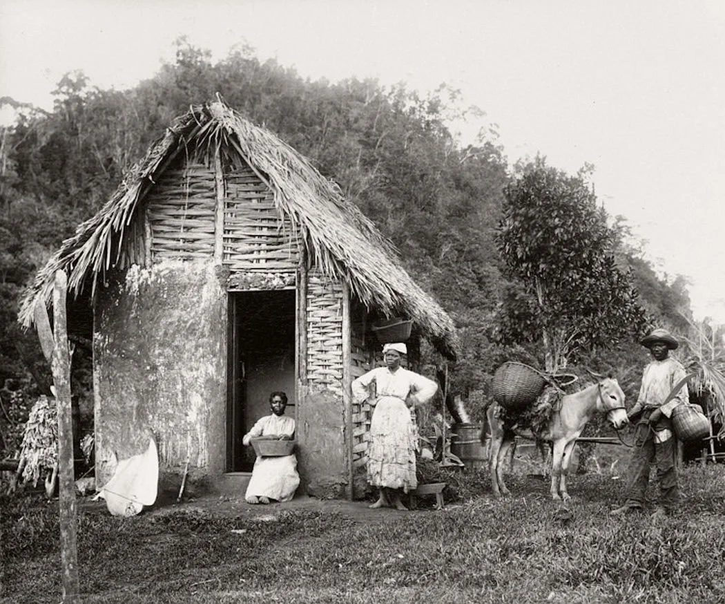 Rural house in Jamaica, ca. 1890s