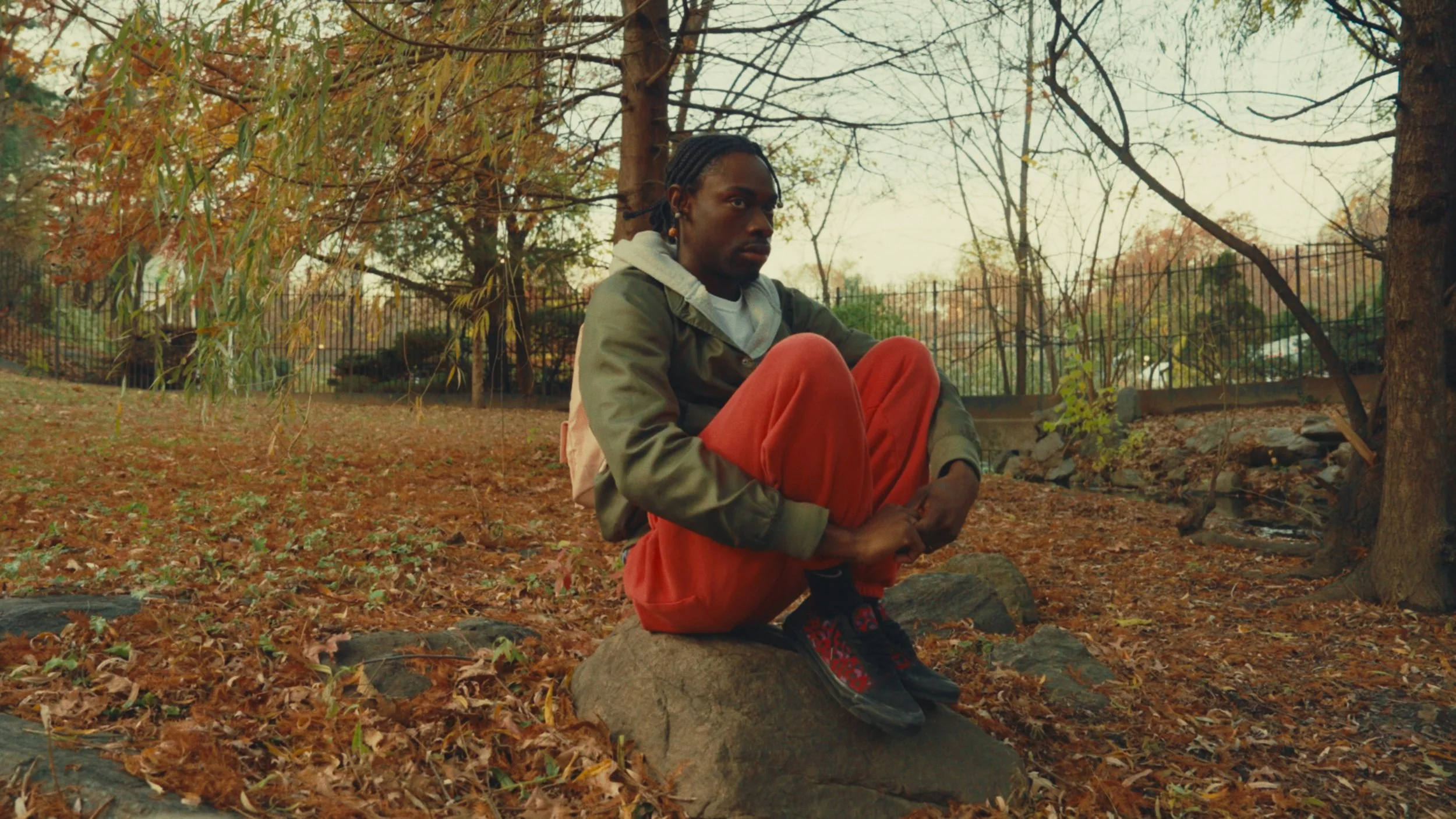 Person sitting on a rock in a park during autumn, with trees and fallen leaves