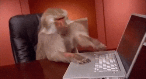 A monkey sitting at a desk using a laptop.