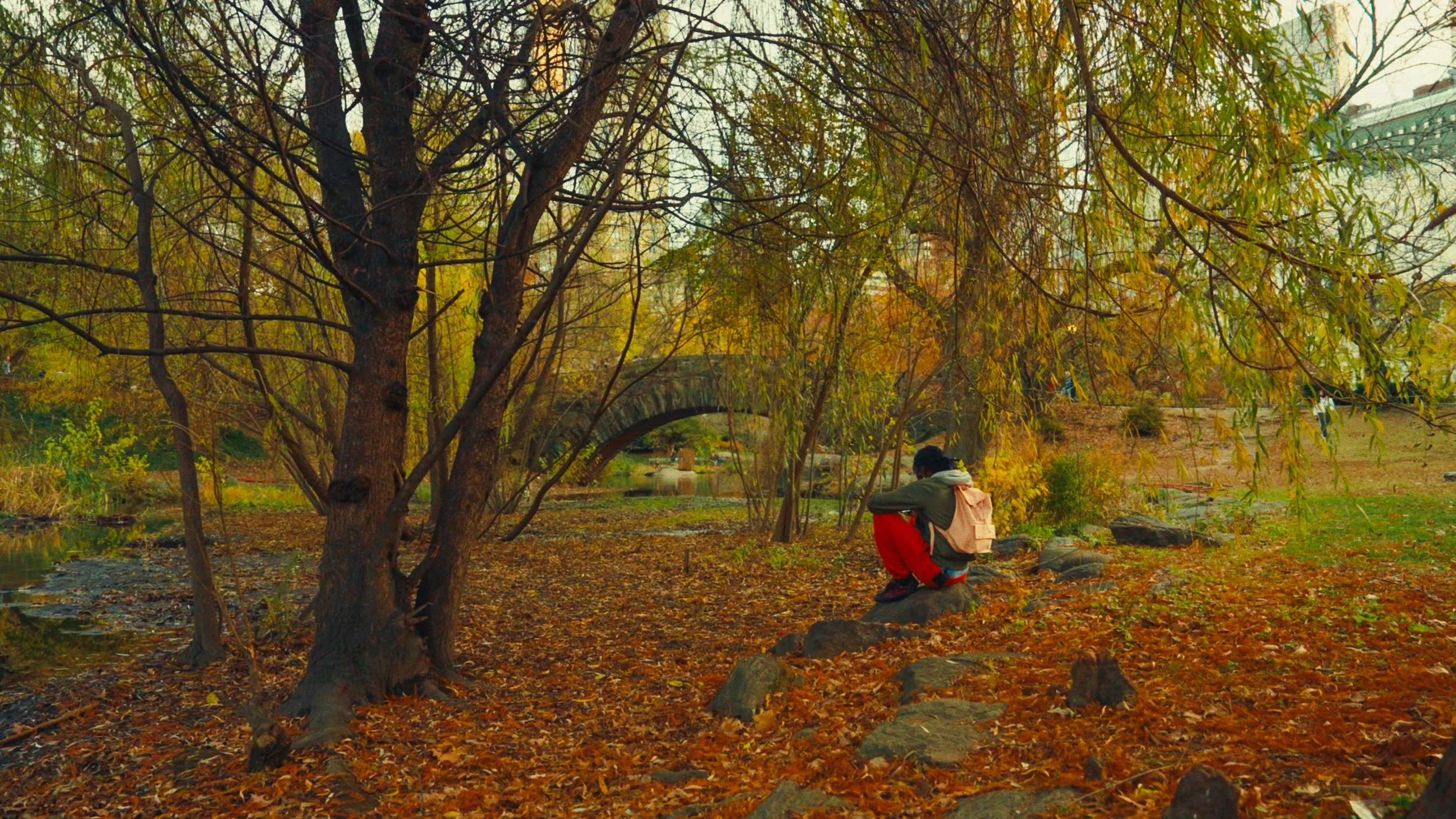 A person sitting on a rock in a park during autumn, surrounded by trees with yellow and orange leaves, near a stone bridge.